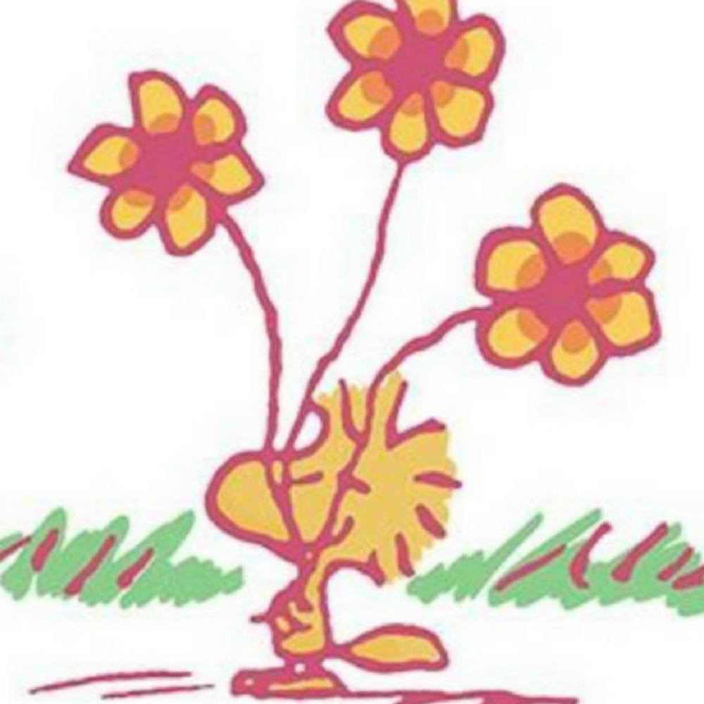 Meet your Posher, Isabel